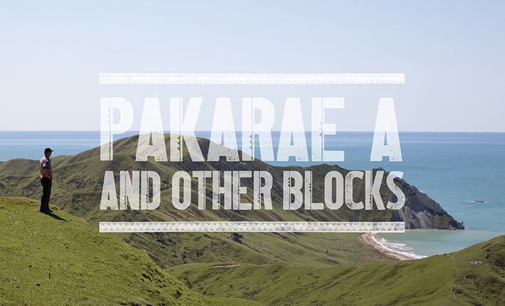 Whangara Farms - Pakarae A & other blocks