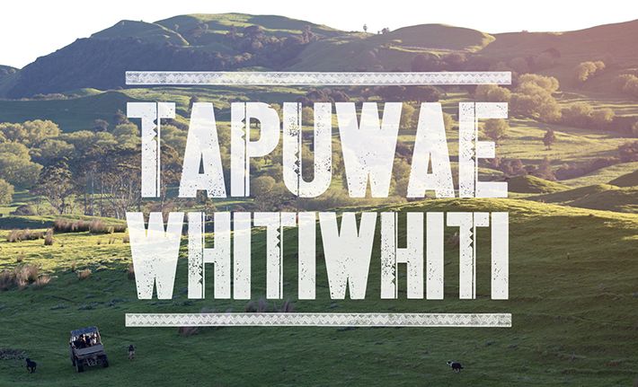 Whangara Farms - Tapuwae